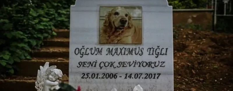 سنگ قبر سگ