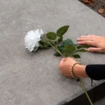 گواهی فوت را از کجا باید گرفت؟